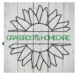 GRASSROOTS HOMECARE LLC